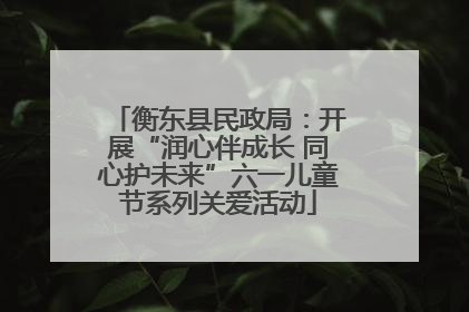 衡东县民政局：开展“润心伴成长 同心护未来”六一儿童节系列关爱活动